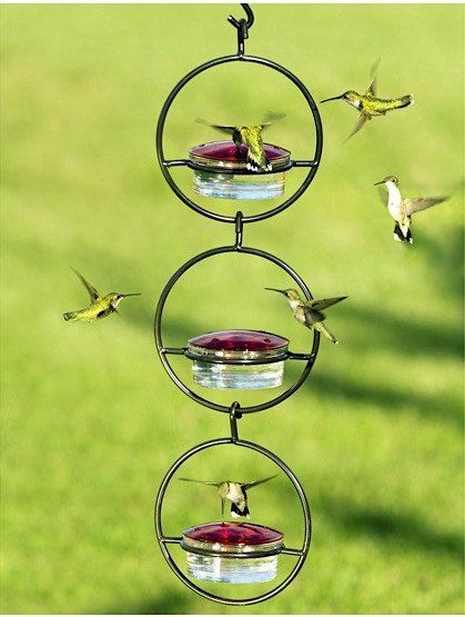 best 25+ hummingbird house ideas on pinterest | hummingbird best 25+ hummingbird house ideas on pinterest | hummingbird