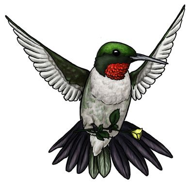 Download 40 best hummingbird clipart images on Pinterest ...