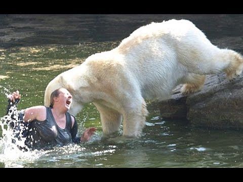 Can I Bring My Dog To The San Diego Zoo Can I Bring My Dog To The San Diego Zoo