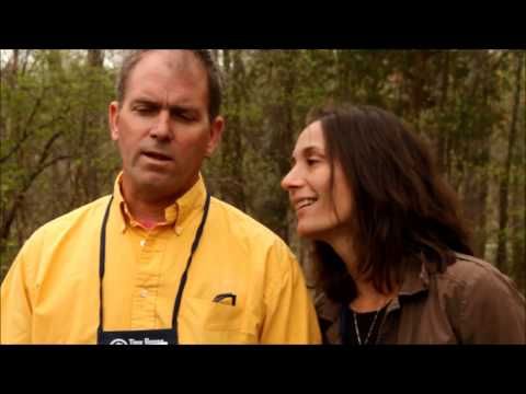 Looking for great tiny house plans for families? Careful planning will