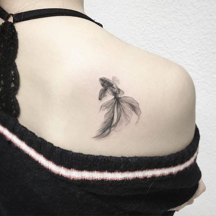 Siamese Fighting Fish 2014 Pencil On Card Stock 4 X 6 Inches Each Animals Art Betta Drawing Sketch Traditio Fish Sketch Betta Tattoo Beta Fish Drawing