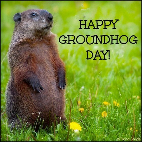 groundhog day episodes the 25 best groundhog pictures ideas on groundhog day episodes the 25 best groundhog pictures ideas on