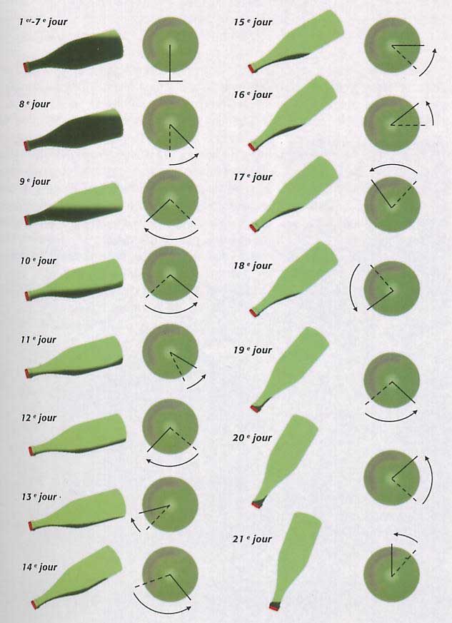 10 best champagne remuage images on pinterest champagne wine explanation chart