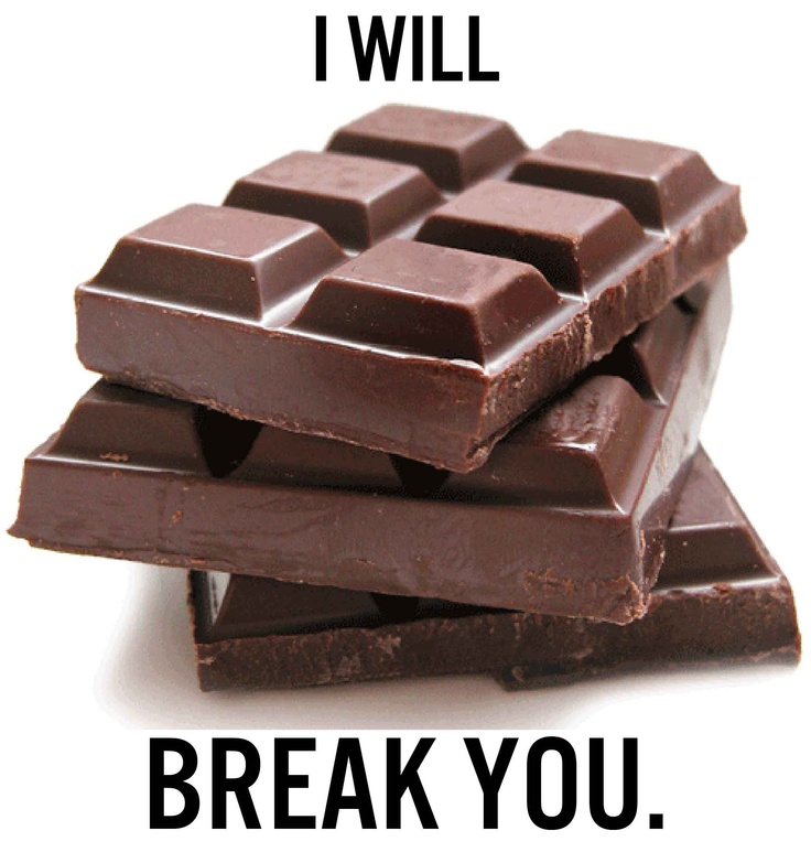 My Dog Ate A Cocoa Chocolate Bar My Dog Ate A Cocoa Chocolate Bar