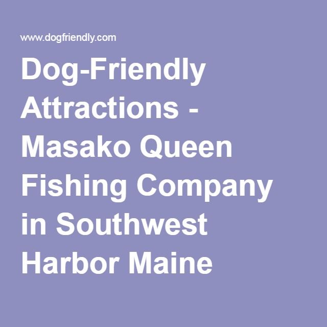 Southwest Harbor Dog Friendly Lodging Southwest Harbor Dog Friendly Lodging