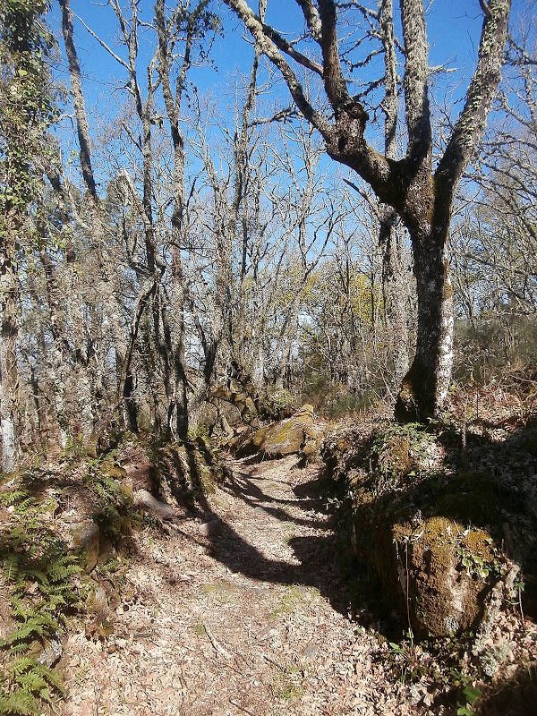 1000 Lugares En Galicia Santa Mariña De Augas Santas En Allariz Parte 4 El Castro De Armeá En 2020 Santa Marina Casas De Dos Pisos Ruta De La Plata