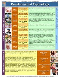 26 best nce exam images on pinterest child development chart piaget charts