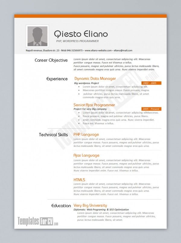 senior programmer resume