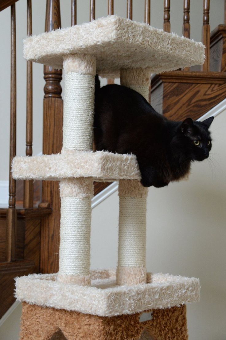 Best Designer Cat Trees Images On Pinterest Pet Furniture - Amarkat Premium Cat Tree (x Large) – Designer Pet Furniture Accessories best designer cat trees images on pinterest pet furniture - amarkat premium cat tree (x large) – designer pet furniture accessories