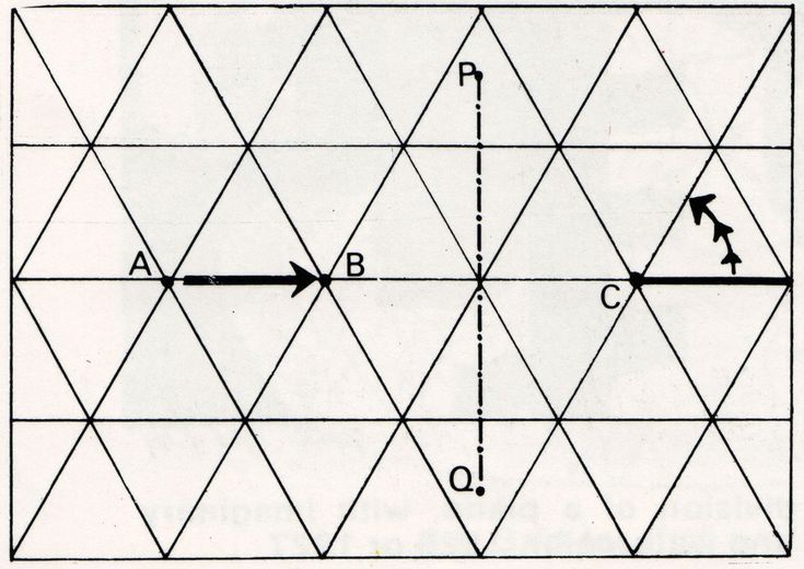 translation tessellation rectangle of flounder translation tessellation rectangle of flounder