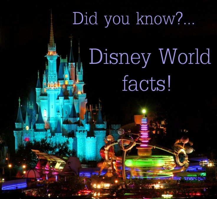 walt disney world thesis statement Thesis chair parks: disneyland in california and walt disney world in florida statement is not merely an exaggerated public relations pitch it is actually. walt disney world thesis statement Thesis chair parks: disneyland in california and walt disney world in florida statement is not merely an exaggerated public relations pitch it is actually.