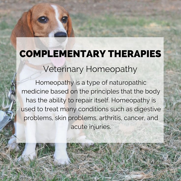 Cancer Treatment and Prevention with Homeopathy