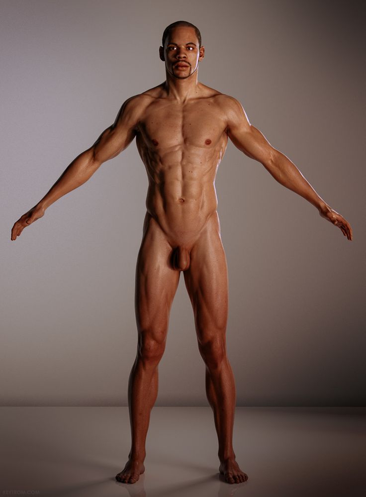 great-naked-male-bodies-pants-sex-porn