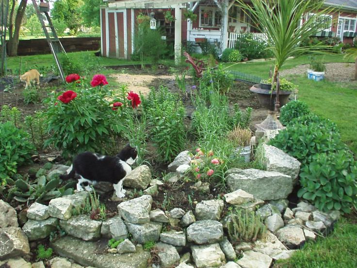 Garden Design Rockery 59 best ΒΡΑΧΟΚΗΠΟΙ images on pinterest | rock garden design Garden Design Rockery 59 best ΒΡΑΧΟΚΗΠΟΙ images on pinterest | rock garden design