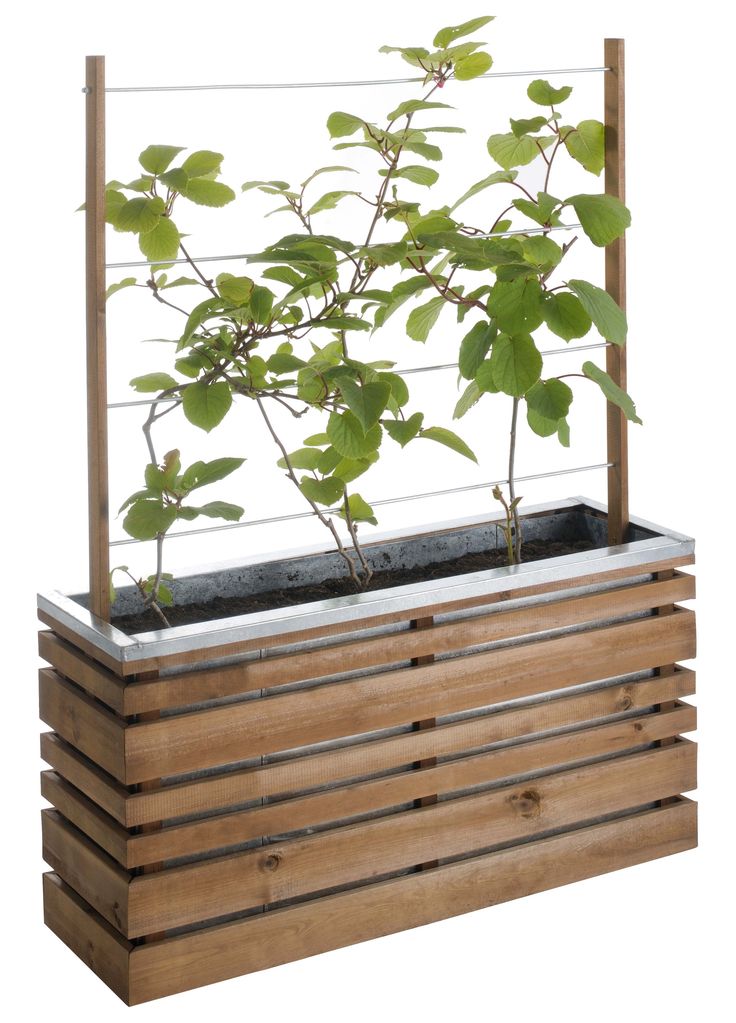 Superior Pot En Bois Exterieur #6: Jardinière En Bois Plante Grimpante Superior Pot En Bois Exterieur #6: Jardinière En Bois Plante Grimpante