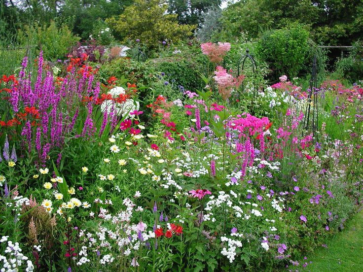 7 Best Garden Borders Images On Pinterest Flower Gardening Flower Garden Borders, Flowers Garden, Landscape Borders, Landscape Services, Garden Maintenance, Border Design, Succulents Garden, Garden Ideas, ... - 7 Best Garden Borders Images On Pinterest Flower Gardening