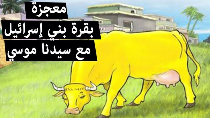 ما هي قصة بقرة بني اسرائيل مع سيدنا موسي أروع قصص المعجزات في القرآن Disney Characters Fictional Characters Winnie The Pooh