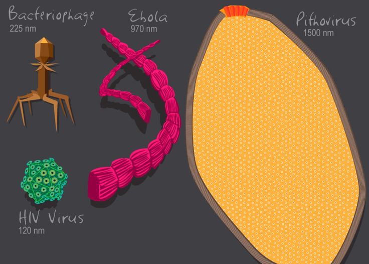 53 best Molecular Biology, Genetics and Biotechnology images on - new molecular blueprint definition 53 best Molecular Biology, Genetics and Biotechnology images on - new molecular blueprint definition