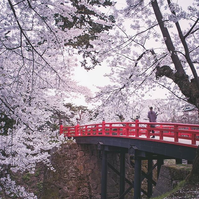 What to do in japan may