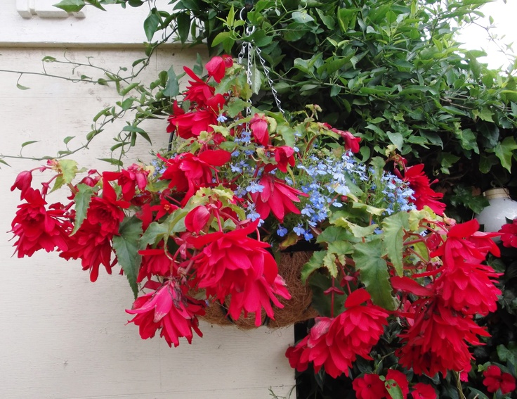 111 best Feng Shui Feuer Fire Red Garden Roter Garten images on - feng shui gartendeko 111 best Feng Shui Feuer Fire Red Garden Roter Garten images on - feng shui gartendeko