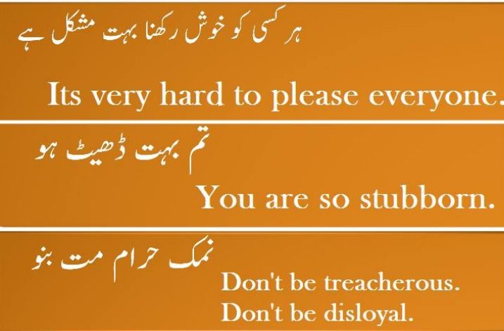 Setting Up Meaning In Urdu 4 betting tips Setting Up Meaning In Urdu 4 betting tips