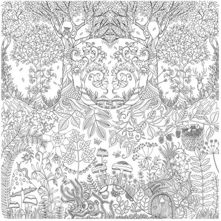 Enchanted Forest Foret Enchantee By Johanna Basford L Her First Colouring In Book For Adults Secret Garden Was Sold More Than A Million Copies