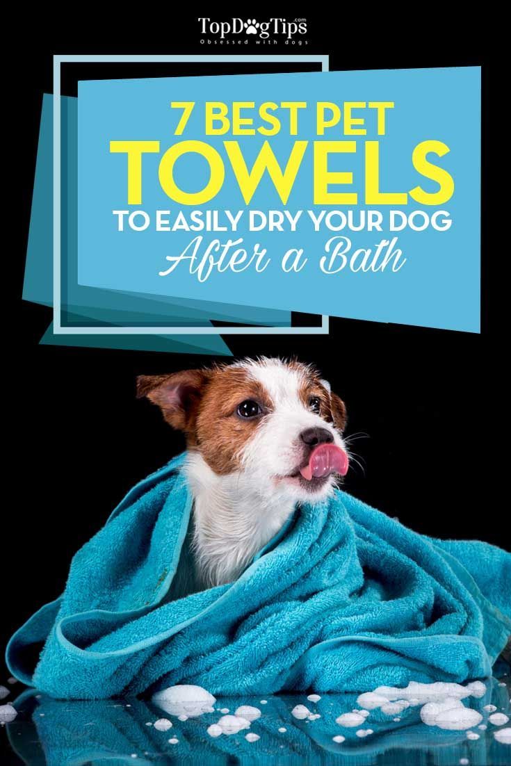 Best Dog Towel Top 7 Choices For Drying Dogs After A Bath 2016