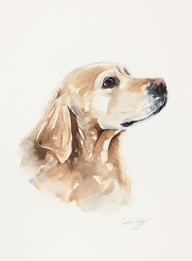 Golden Retriever Original Dog Painting In Watercolour By Wetnose