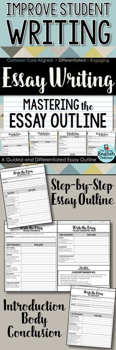 A successful leader essay