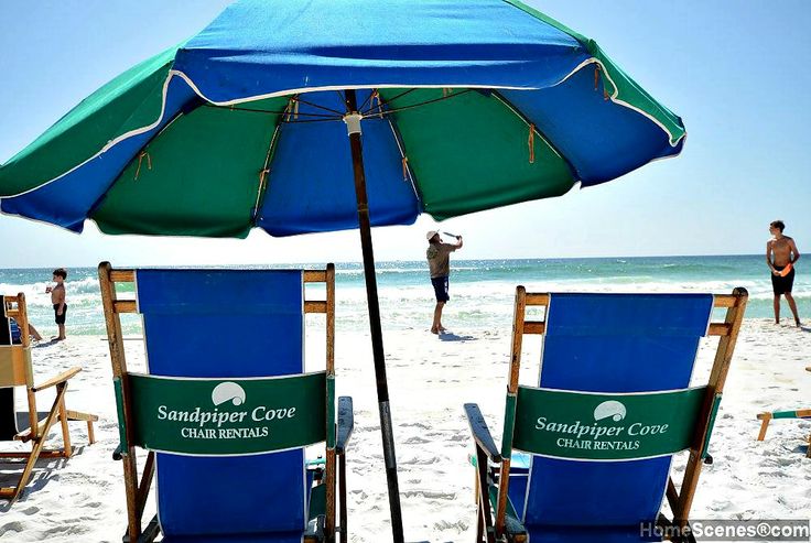 Pet Friendly Beach Rentals On A Pet Friendly Beach Rentals On A