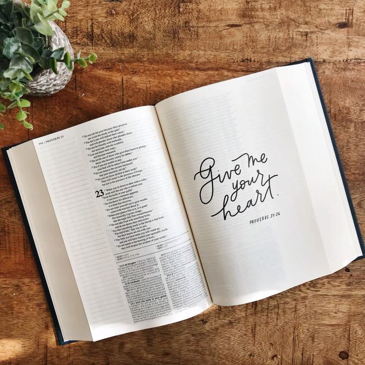 "The seed is the word of God." Luke 8:11The Bible that we have all been waiting for! The first ever, full Catholic Journaling Bible (NAB-RE) includes wide margins with lines for note taking, endnotes and footnotes, an easy to read one column format and hand lettered verses for each book.**Once you order, you will receive a free beautiful 8x10 digital print of the Blessed is She Mission Statement as well as a Christmas card to download and print to give to a friend if this is her Chr...