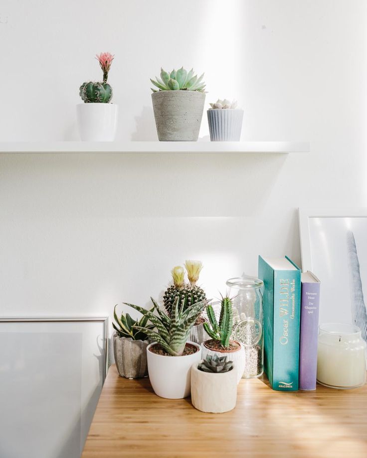 60 melhores imagens de DECORA u00c7ÃO WC no Pinterest Arquitetura, Cozinha moderna e Ideias para a Decoração Wc ~ 60 melhores imagens de DECORA u00c7ÃO WC no Pinterest Arquitetura, Cozinha moderna e Ideias para a