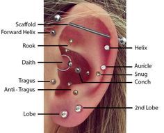 Top Ear Piercings placements / Diagram: – BMG Body Jewellery *Lobes, Helix/Rim...