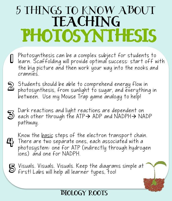 158 best bio cell respiration photosynthesis images on pinterest explain how photosynthesis works