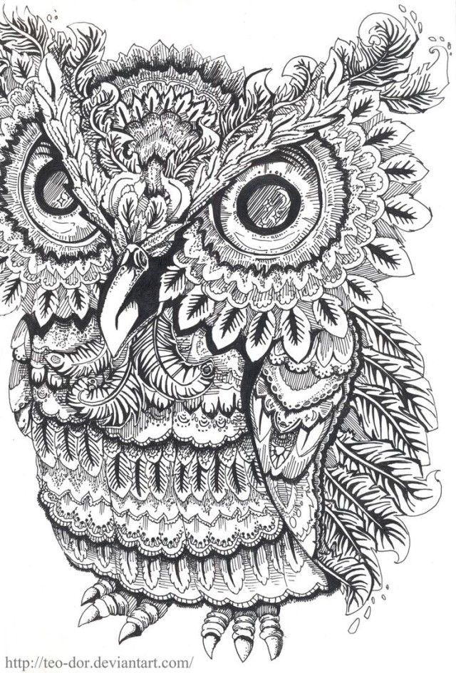 689 best Well, Owl Be! images on Pinterest Barn owls, Drawings of - copy baby owl coloring pages for adults 689 best Well, Owl Be! images on Pinterest Barn owls, Drawings of - copy baby owl coloring pages for adults