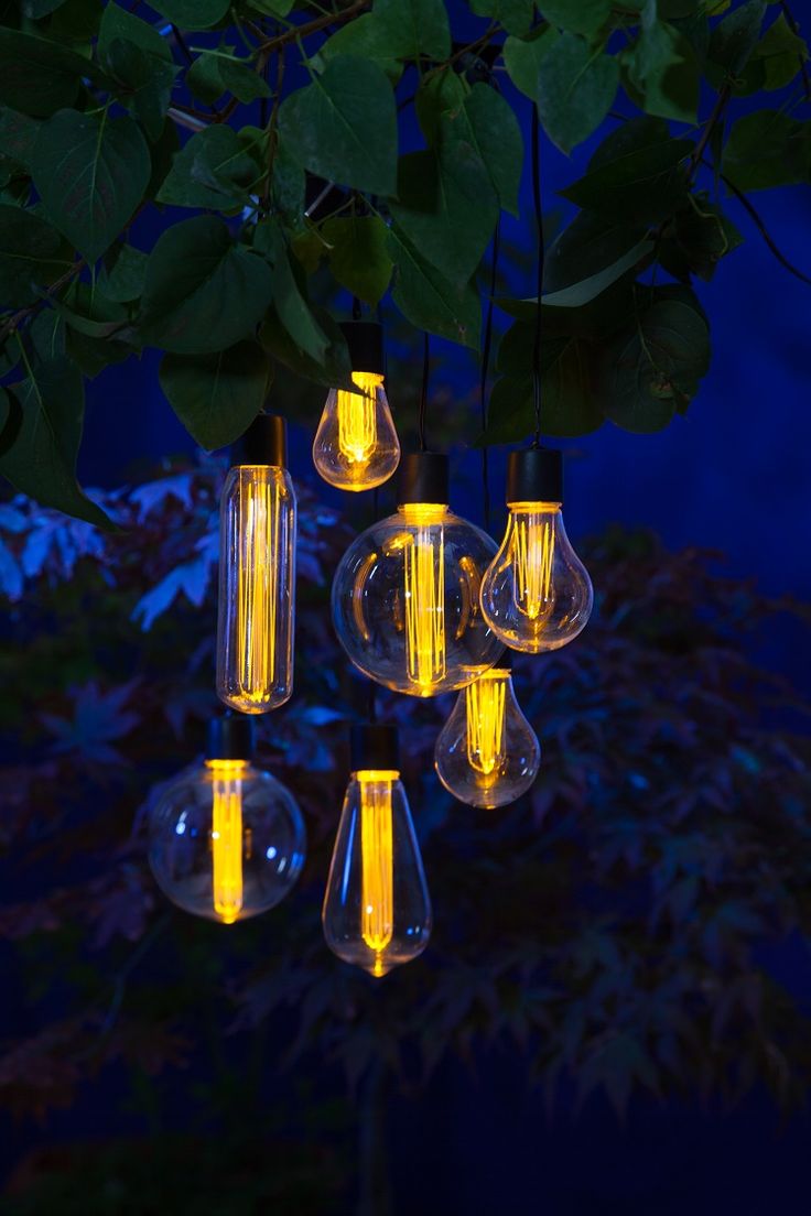 ideas for garden lighting. the bulb 7 string set | solar garden lighting noma art ideas for u