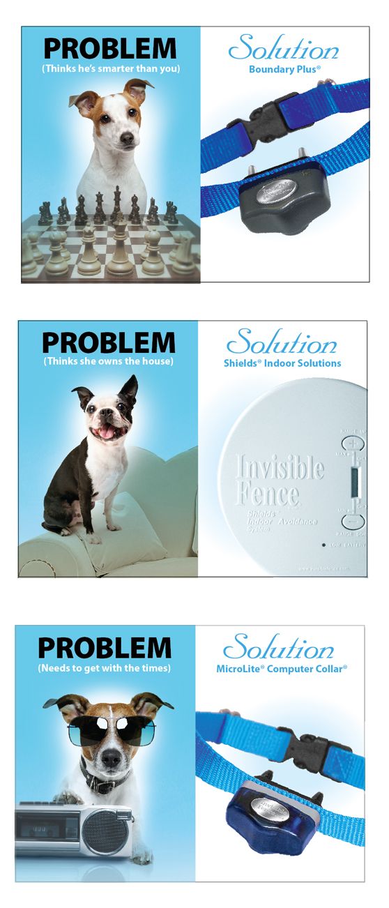 51 best Proven Pet Solutions images on Pinterest | Dog cat, Fences ... 51 best Proven Pet Solutions images on Pinterest | Dog cat, Fences ...