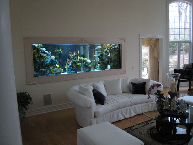 best 25+ wall aquarium ideas on pinterest | home aquarium, fish best 25+ wall aquarium ideas on pinterest | home aquarium, fish