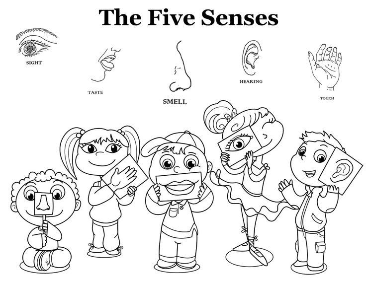Senses Coloring Pages Senses Preschool, Five Senses Worksheet, Kindergarten Colors Senses Coloring Pages Senses Preschool, Five Senses Worksheet, Kindergarten Colors