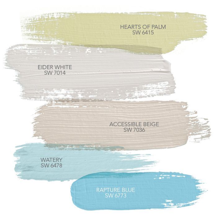 Coastal Paint Colors Hearts Of Palm Sw 6415 Sherwin Williams Hgtv Home By Sherwin Williams Coastal C Coastal Paint Colors Hearts Of Palm Sw 6415 Sherwin Williams Hgtv Home By Sherwin Williams Coastal C