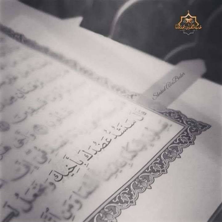 ابيات شعر عن موت الاخ الاخ هو السند