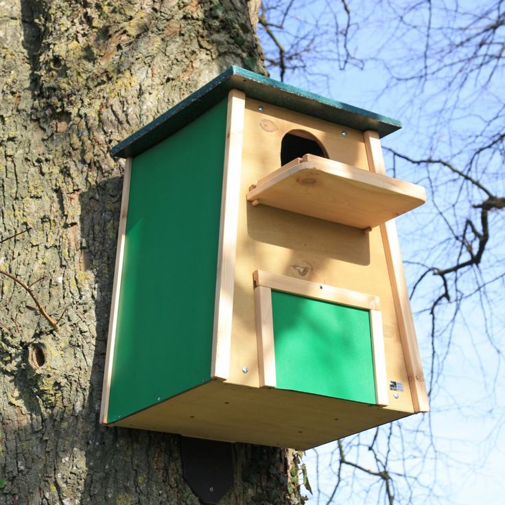 A Bird House Attached To The Side Of A Tree a-bird-house-attached-to-the-side-of-a-tree