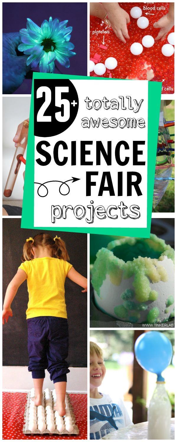 Science Fair Projects for primary and elementary students! There are so many aw... Science Fair Projects for primary and elementary students! There are so many aw... 2