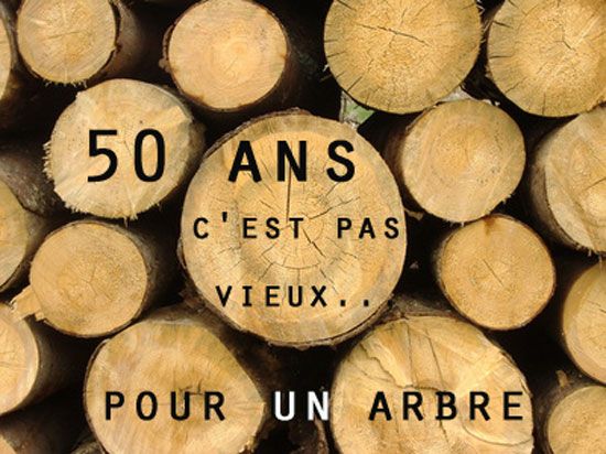 Le topic du Bon Anniv' - Page 15 30ae8f095677e1c4598e71a0d2b68e4c--smiley-coaching