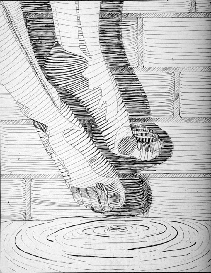 Contour Line Drawing Books : Best contour drawings ideas on pinterest line