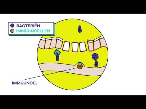 Myrrhentinktur hetterich dosierung ciprofloxacin Myrrhentinktur hetterich dosierung ciprofloxacin