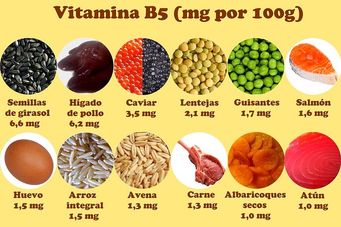 alimentos con vitamina b5 y b12