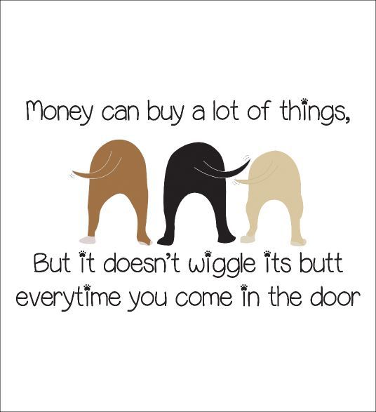 I Love My Dog Quotes Amazing 1788 Best I Love My Dog ♥♥ Quotes Images On Pinterest Dog I Love My Dog Quotes Amazing 1788 Best I Love My Dog ♥♥ Quotes Images On Pinterest Dog