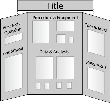 tri fold poster board science project
