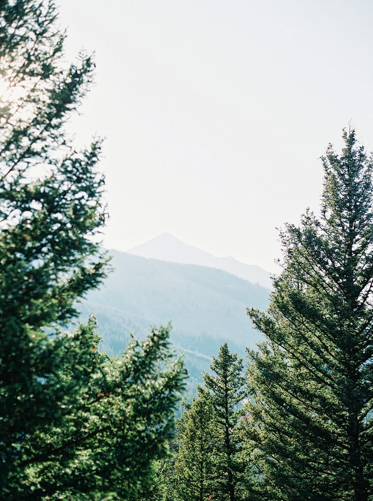 Big Sky, Montana Wedding | Montana wedding, Big sky montana wedding